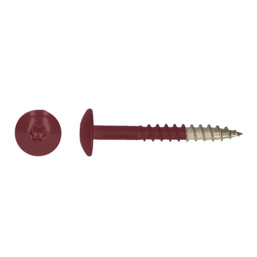 Vis tête bombée HPL Tx20 4,8x38 R3004 A4 (100pc)